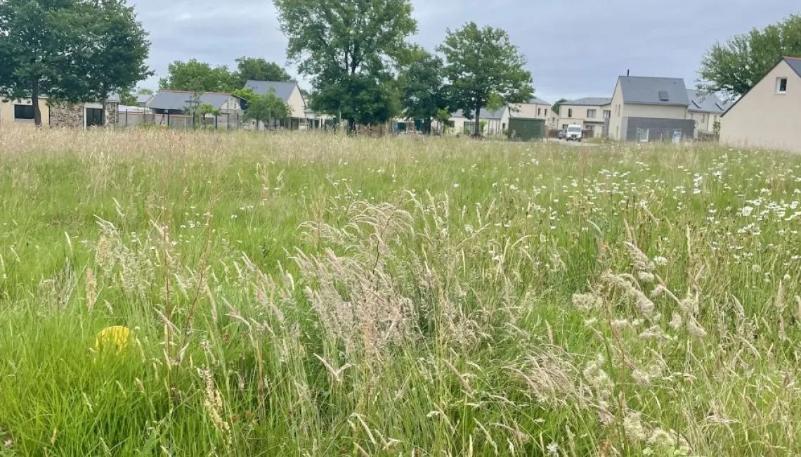 Terrain à bâtir de 475 m² à RABLAY-SUR-LAYON (49)
